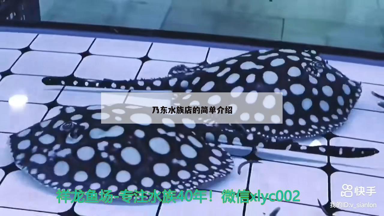 乃東水族店的簡單介紹 黃金眼鏡蛇雷龍魚