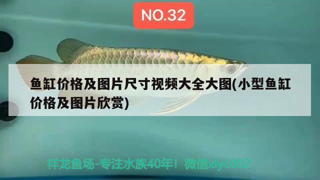 魚(yú)缸價(jià)格及圖片尺寸視頻大全大圖(小型魚(yú)缸價(jià)格及圖片欣賞)