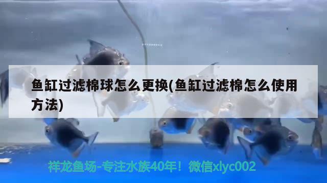 魚缸過濾棉球怎么更換(魚缸過濾棉怎么使用方法)