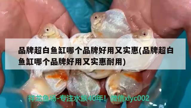 品牌超白魚缸哪個(gè)品牌好用又實(shí)惠(品牌超白魚缸哪個(gè)品牌好用又實(shí)惠耐用)