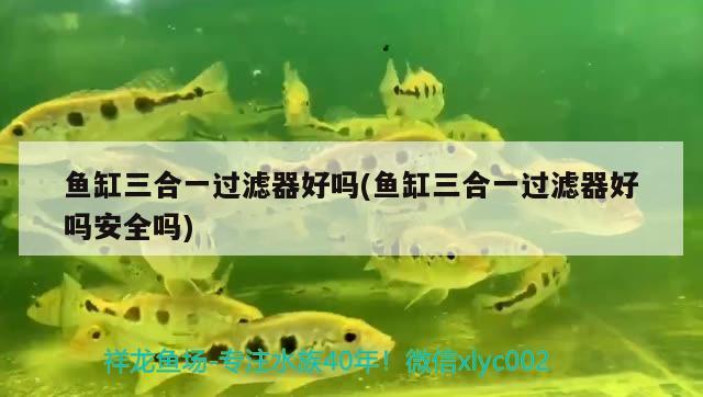 魚缸三合一過濾器好嗎(魚缸三合一過濾器好嗎安全嗎)