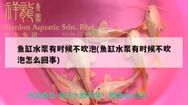 魚缸水泵有時(shí)候不吹泡(魚缸水泵有時(shí)候不吹泡怎么回事)