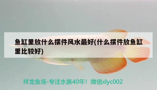 魚缸里放什么擺件風(fēng)水最好(什么擺件放魚缸里比較好) 魚缸風(fēng)水