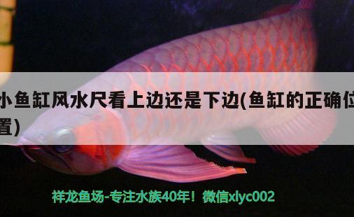 小魚缸風(fēng)水尺看上邊還是下邊(魚缸的正確位置) 魚缸風(fēng)水