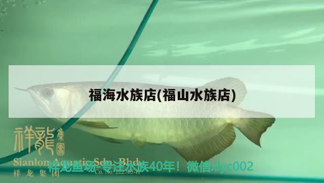 福海水族店(福山水族店) 豬鼻龜