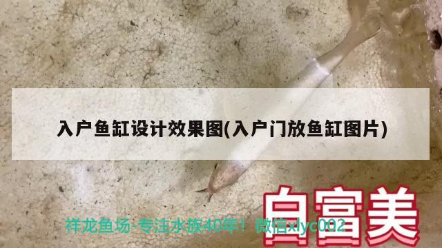 入戶魚缸設計效果圖(入戶門放魚缸圖片)