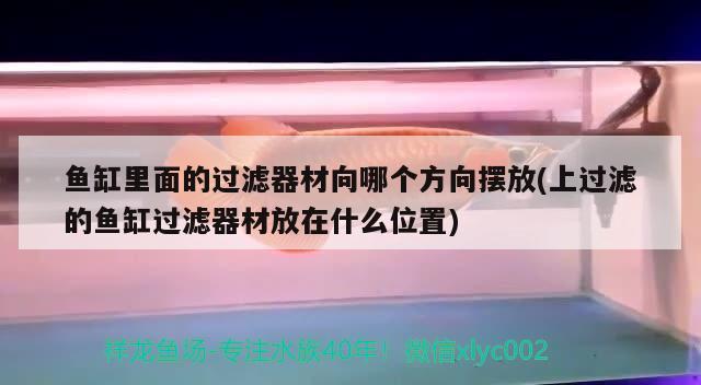 魚缸里面的過濾器材向哪個方向擺放(上過濾的魚缸過濾器材放在什么位置) 圖騰金龍魚