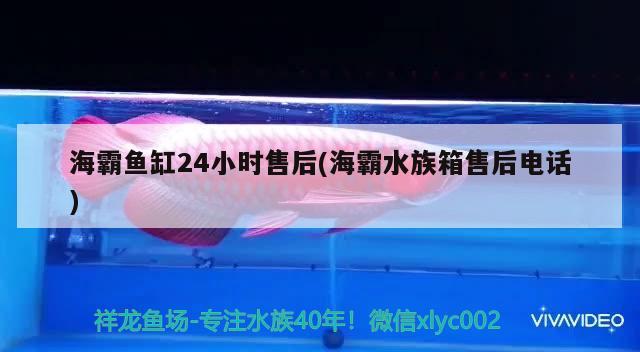 海霸魚缸24小時(shí)售后(海霸水族箱售后電話)