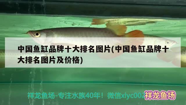 中國魚缸品牌十大排名圖片(中國魚缸品牌十大排名圖片及價(jià)格) 魚缸百科