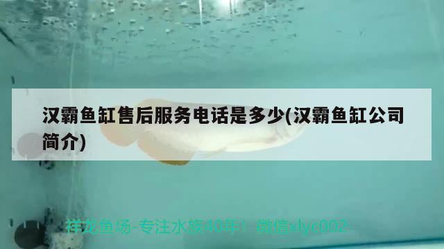 漢霸魚缸售后服務(wù)電話是多少(漢霸魚缸公司簡介) 魚缸百科