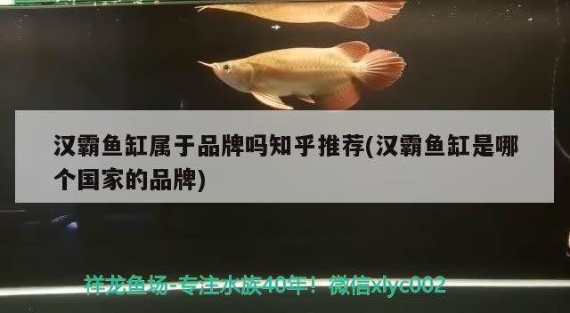 漢霸魚缸屬于品牌嗎知乎推薦(漢霸魚缸是哪個(gè)國(guó)家的品牌) 魚缸百科