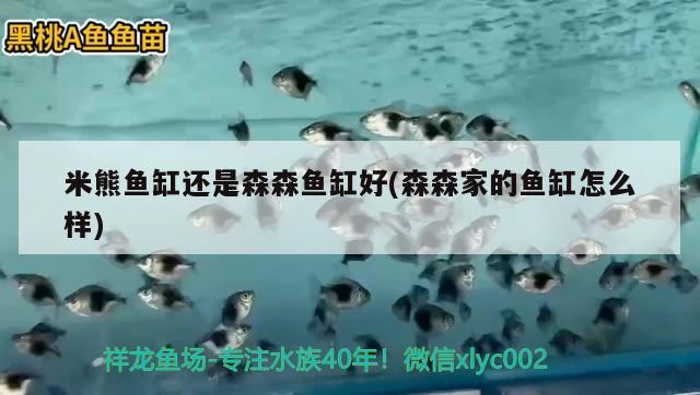 米熊魚缸還是森森魚缸好(森森家的魚缸怎么樣)