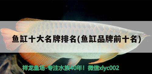 魚缸十大名牌排名(魚缸品牌前十名)