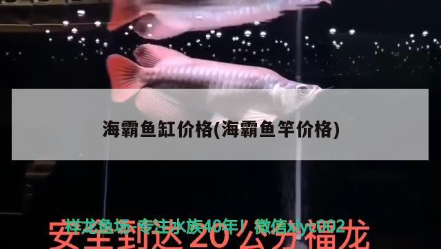 海霸魚缸價(jià)格(海霸魚竿價(jià)格) 垂釣樂園