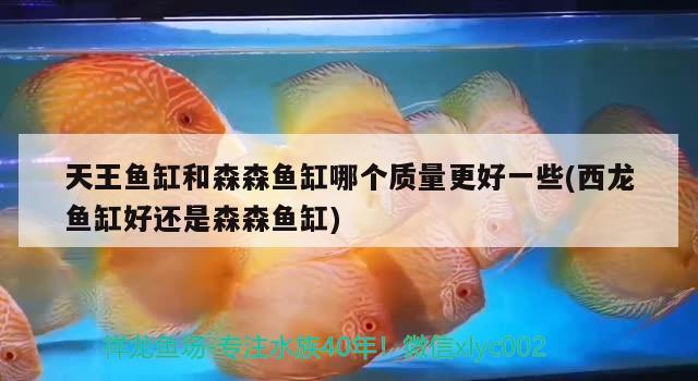 天王魚缸和森森魚缸哪個質(zhì)量更好一些(西龍魚缸好還是森森魚缸) 魚缸百科