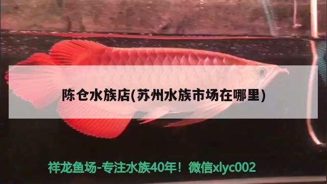 陳倉(cāng)水族店(蘇州水族市場(chǎng)在哪里)