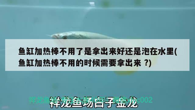 魚缸加熱棒不用了是拿出來好還是泡在水里(魚缸加熱棒不用的時候需要拿出來?) 狗頭魚