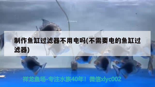 制作魚(yú)缸過(guò)濾器不用電嗎(不需要電的魚(yú)缸過(guò)濾器)