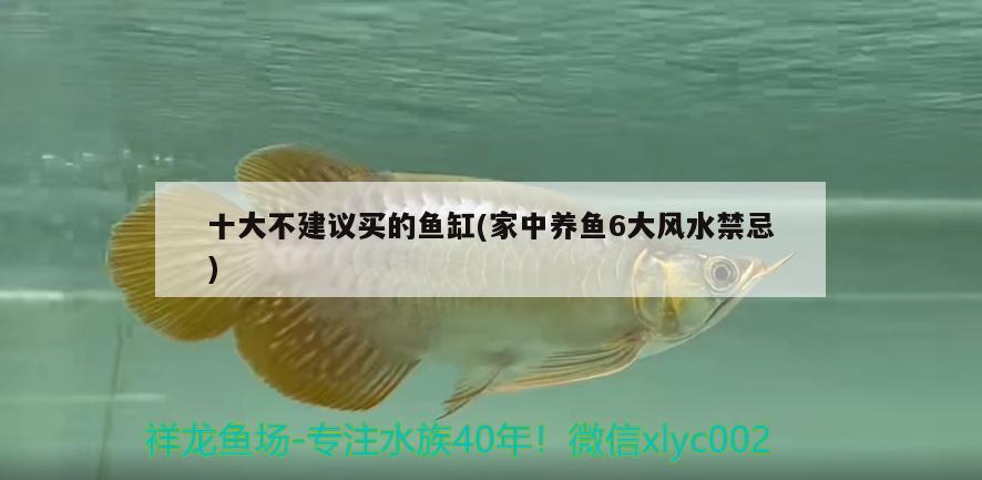 十大不建議買的魚缸(家中養(yǎng)魚6大風(fēng)水禁忌)