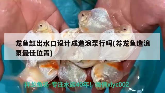 龍魚缸出水口設(shè)計(jì)成造浪泵行嗎(養(yǎng)龍魚造浪泵最佳位置)