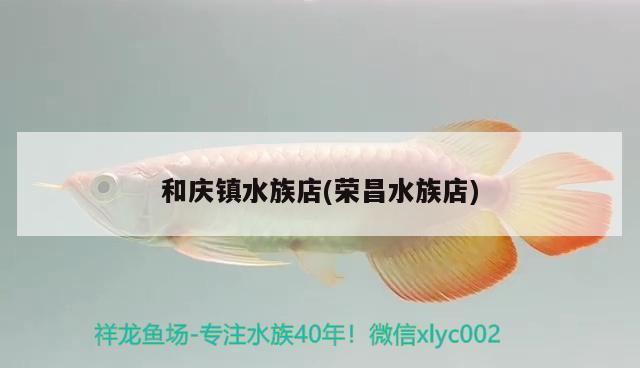 和慶鎮(zhèn)水族店(榮昌水族店) 圣菲埃及魚