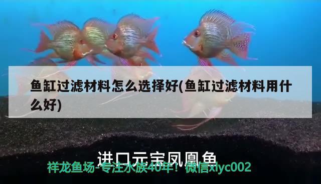 魚(yú)缸過(guò)濾材料怎么選擇好(魚(yú)缸過(guò)濾材料用什么好) 魟魚(yú)百科