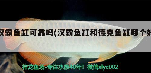 漢霸魚(yú)缸可靠嗎(漢霸魚(yú)缸和德克魚(yú)缸哪個(gè)好)