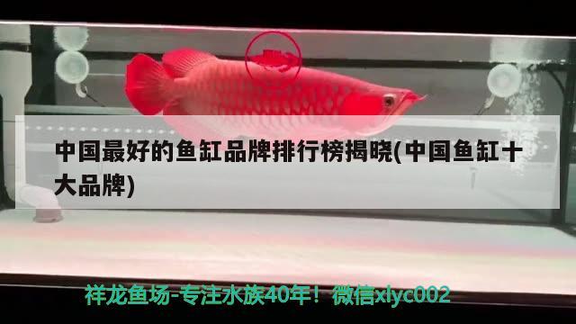 中國最好的魚缸品牌排行榜揭曉(中國魚缸十大品牌) 魚缸百科