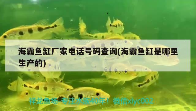 海霸魚缸廠家電話號碼查詢(海霸魚缸是哪里生產(chǎn)的)