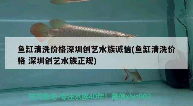 魚(yú)缸清洗價(jià)格深圳創(chuàng)藝水族誠(chéng)信(魚(yú)缸清洗價(jià)格深圳創(chuàng)藝水族正規(guī)) 黑金魟魚(yú)