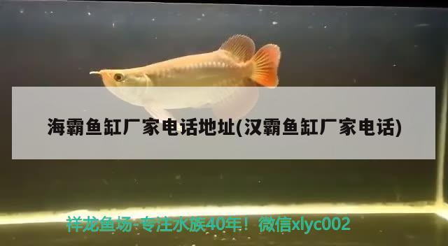 海霸魚缸廠家電話地址(漢霸魚缸廠家電話)