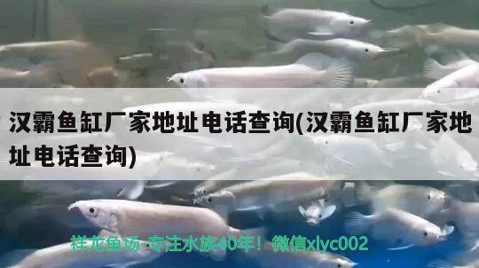 漢霸魚缸廠家地址電話查詢(漢霸魚缸廠家地址電話查詢) 魚缸百科