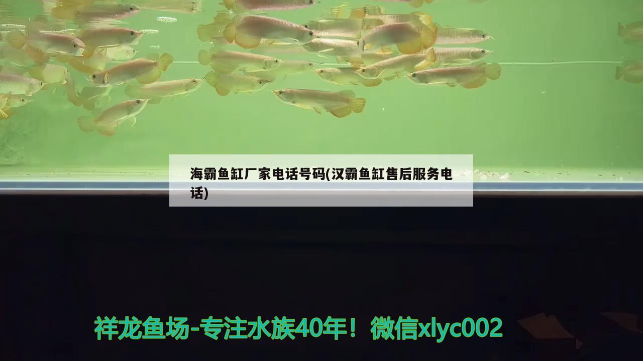 海霸魚缸廠家電話號(hào)碼(漢霸魚缸售后服務(wù)電話) 魚缸百科