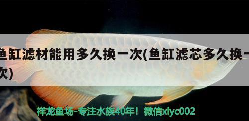 魚(yú)缸濾材能用多久換一次(魚(yú)缸濾芯多久換一次) 養(yǎng)魚(yú)的好處