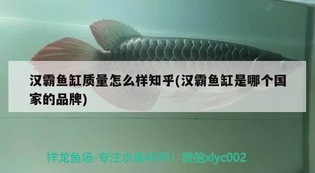 漢霸魚(yú)缸質(zhì)量怎么樣知乎(漢霸魚(yú)缸是哪個(gè)國(guó)家的品牌)