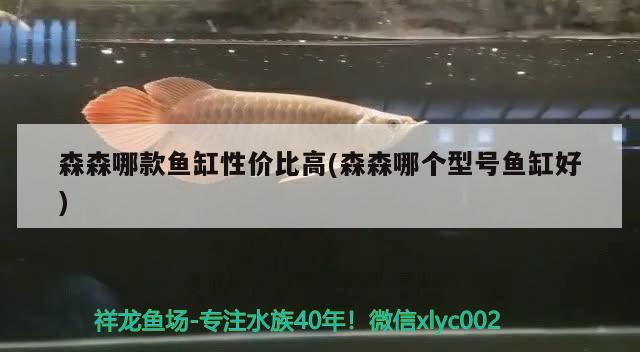 森森哪款魚缸性價(jià)比高(森森哪個(gè)型號魚缸好)