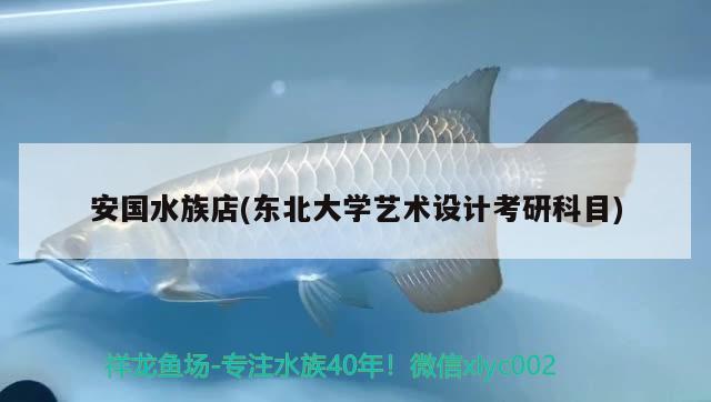 安國水族店(東北大學藝術設計考研科目) 觀賞魚市場（混養(yǎng)魚）