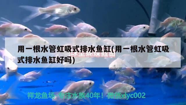 用一根水管虹吸式排水魚缸(用一根水管虹吸式排水魚缸好嗎)