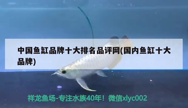 中國魚缸品牌十大排名品評網(wǎng)(國內(nèi)魚缸十大品牌)