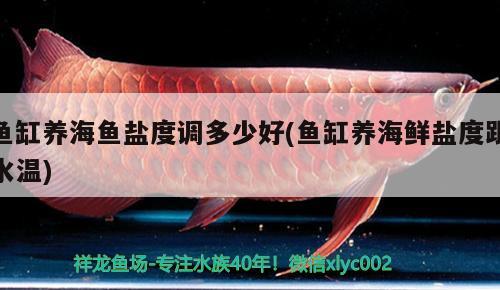 魚缸養(yǎng)海魚鹽度調(diào)多少好(魚缸養(yǎng)海鮮鹽度跟水溫) 熊貓異形魚L46