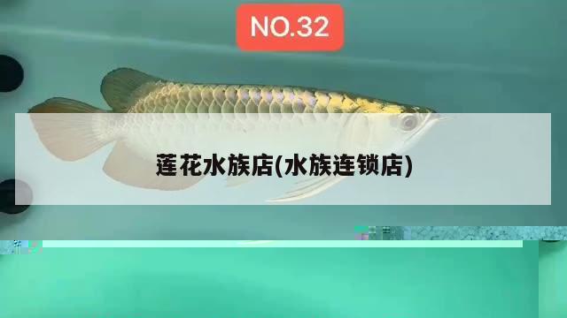 森森魚(yú)缸子品牌(森森旗下的魚(yú)缸品牌) 魚(yú)缸百科