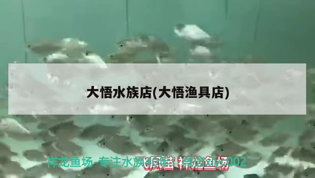 大悟水族店(大悟漁具店) ?；?異型虎魚/純色虎魚