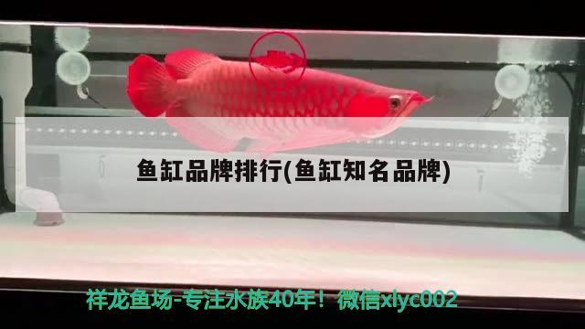 魚缸品牌排行(魚缸知名品牌)