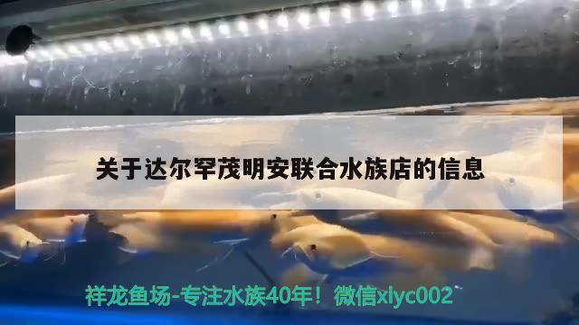 關(guān)于達(dá)爾罕茂明安聯(lián)合水族店的信息 祥龍水族護(hù)理水