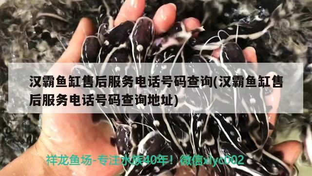 漢霸魚缸售后服務(wù)電話號碼查詢(漢霸魚缸售后服務(wù)電話號碼查詢地址) 魚缸百科 第3張