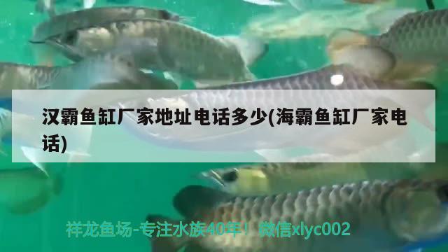 漢霸魚缸廠家地址電話多少(海霸魚缸廠家電話)