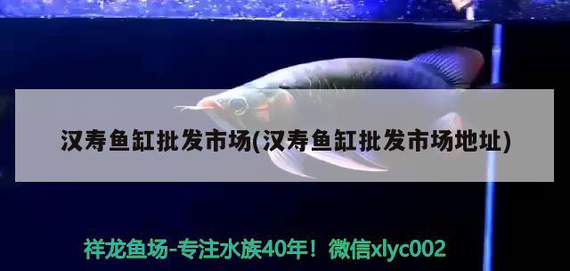 漢壽魚缸批發(fā)市場(漢壽魚缸批發(fā)市場地址)