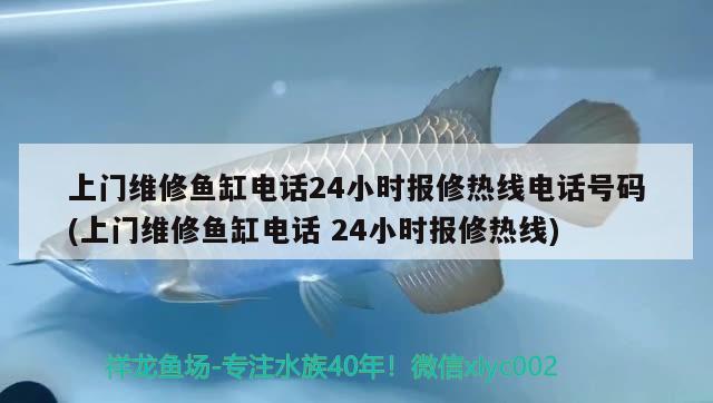 上門維修魚缸電話24小時報修熱線電話號碼(上門維修魚缸電話24小時報修熱線) 雙線側魚