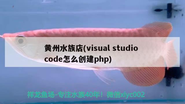 黃州水族店(visualstudiocode怎么創(chuàng)建php) 白子關刀魚苗