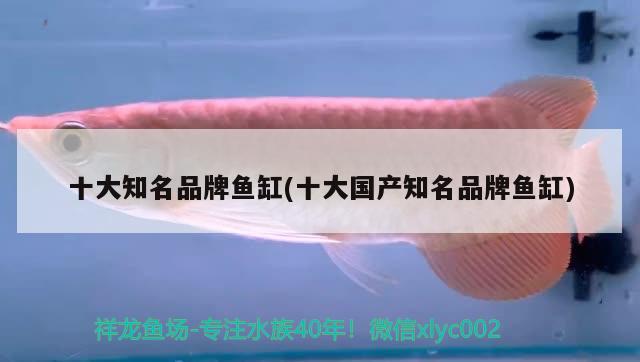 十大知名品牌魚缸(十大國產(chǎn)知名品牌魚缸)